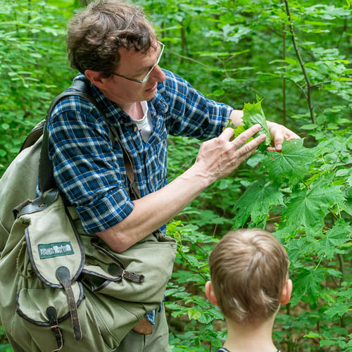Picture shows man teaching children in nature